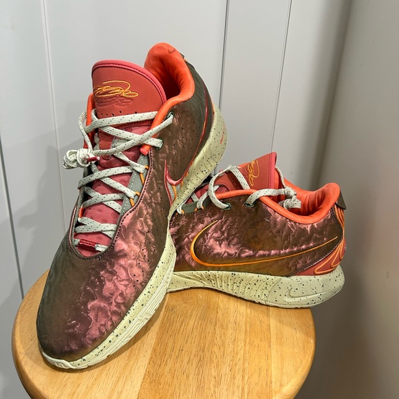 Nike Other - Nike La Bron basketball shoes FN0708-800